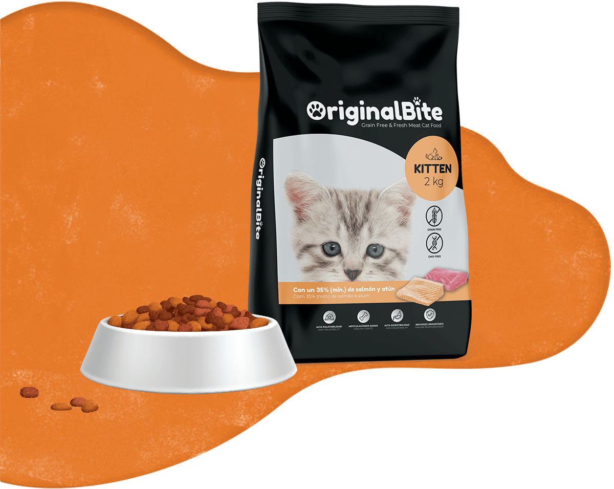 https://originalbite.com/wp-content/uploads/2024/10/originalbite_cat_kitten_general.png